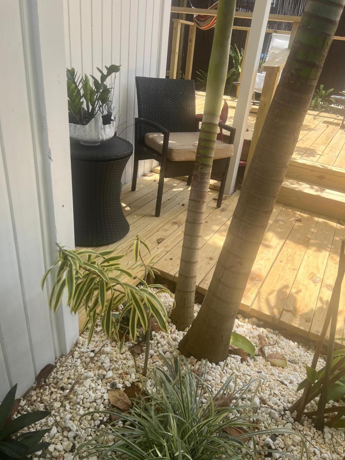 Bella Noni B&B Aguadilla Ngoại thất bức ảnh